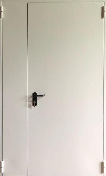 Полуторные противопожарные глухие двери без наличника Полуторная глухая противопожарная дверь EI 60 под «окраску» (01)