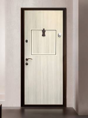 Дверь для кассы №12 Дверь для кассы №12