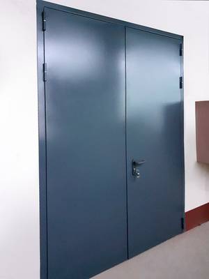 Двустворчатая дверь (АО «ММП имени В.В. Чернышева») Двустворчатая дверь (АО «ММП имени В.В. Чернышева»)