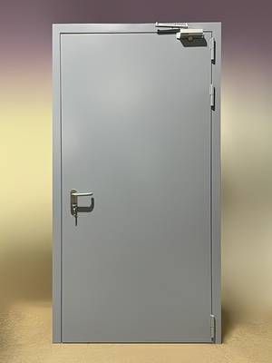 Глухая дверь с доводчиком Глухая дверь с доводчиком