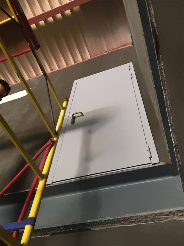 Глухая однопольная дверь (пожарное депо)