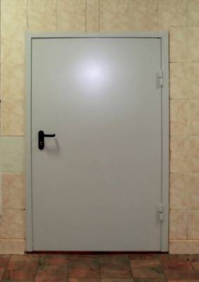Нестандартная противопожарная дверь Нестандартная противопожарная дверь