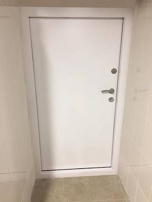 Нестандартная техническая дверь (Камергерский переулок) Нестандартная техническая дверь (Камергерский переулок)