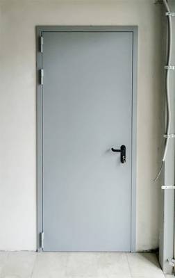 Однопольная дверь, фото снаружи (село Левково) Однопольная дверь, фото снаружи (село Левково)