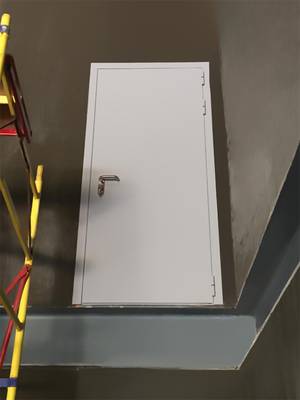 Однопольная дверь (пожарное депо) Однопольная дверь (пожарное депо)