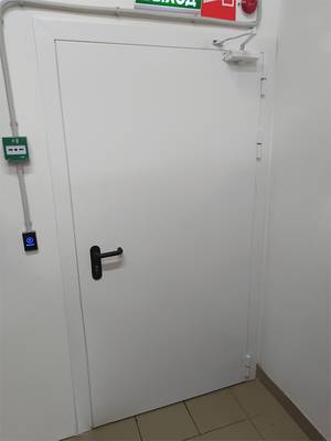 Однопольная дверь с внешней стороны (ул. Звенигородская, 5) Однопольная дверь с внешней стороны (ул. Звенигородская, 5)