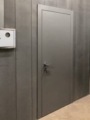 Однопольная глухая дверь