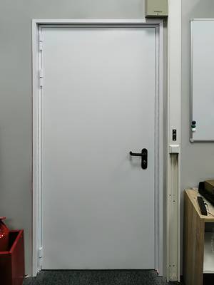 Огнестойкая дверь (магазин в ТЦ «Капитолий»)