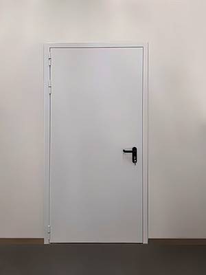 Огнестойкая дверь, вид снаружи (ул. 7-я Кожуховская) Огнестойкая дверь, вид снаружи (ул. 7-я Кожуховская)