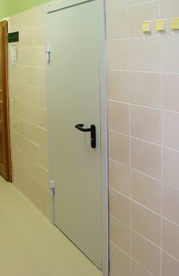 Однопольная огнестойкая дверь Однопольная огнестойкая дверь