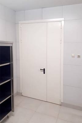 Огнеупорная полуторная дверь (г. Кубинка) Огнеупорная полуторная дверь (г. Кубинка)