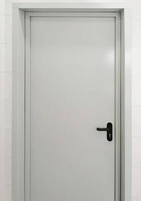 Огнезащитная дверь для складских помещений (пос. Сосенский) Огнезащитная дверь для складских помещений (пос. Сосенский)