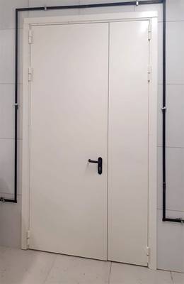 Полуторная глухая дверь (г. Кубинка) Полуторная глухая дверь (г. Кубинка)