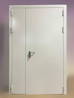 Полуторная пожаростойкая дверь Полуторная пожаростойкая дверь