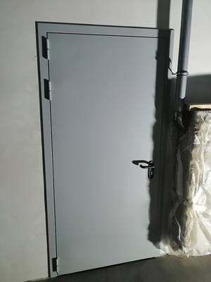 Противопожарная дверь (г. Фрязино) Противопожарная дверь (г. Фрязино)