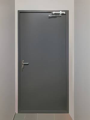 Серая дверь с доводчиком, фото сзади (ул. Генерала Белова, 26) Серая дверь с доводчиком, фото сзади (ул. Генерала Белова, 26)