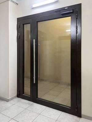 Светопрозрачная стальная дверь