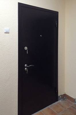 Однопольная техническая дверь Однопольная техническая дверь